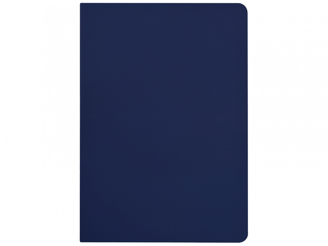 Бизнес-тетрадь А5 «Pragmatic Contrast»