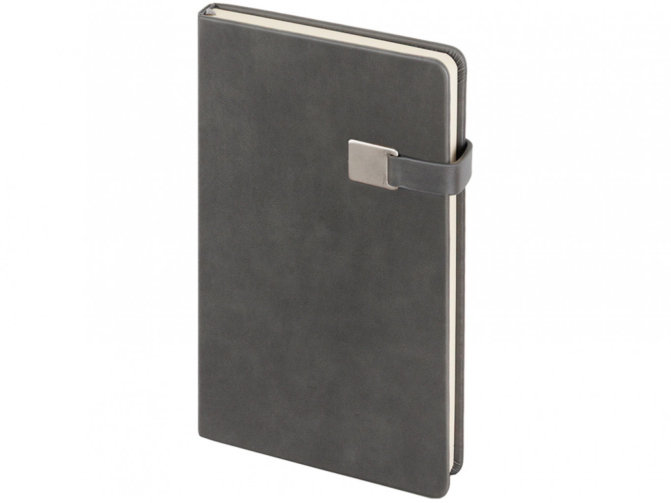 Ежедневник недатированный А5 «Premier»