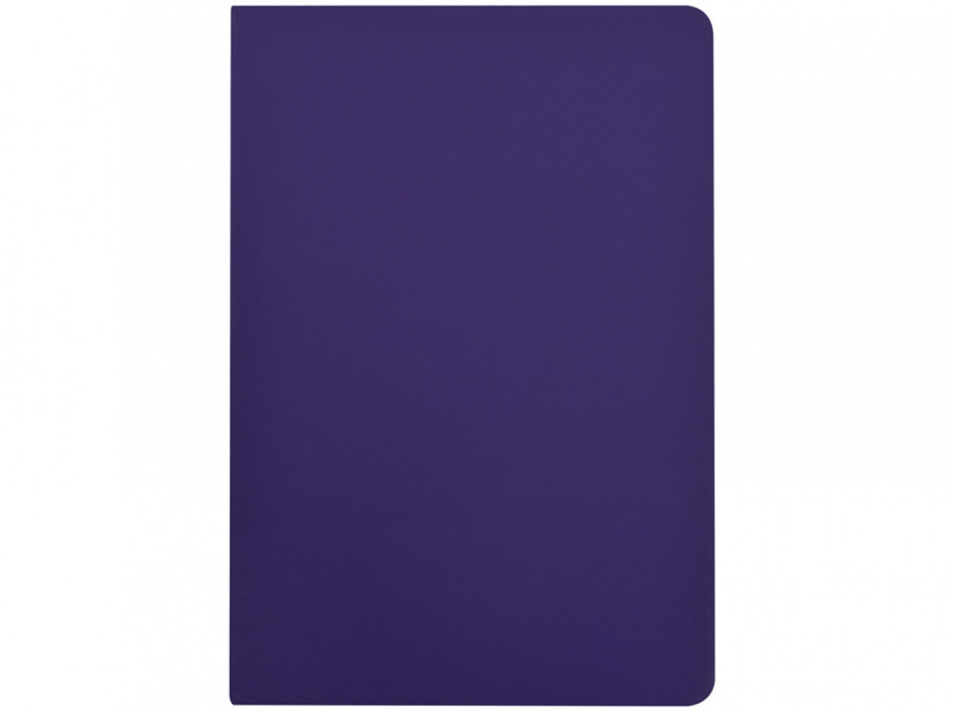 Бизнес-тетрадь А5 «Pragmatic Contrast»