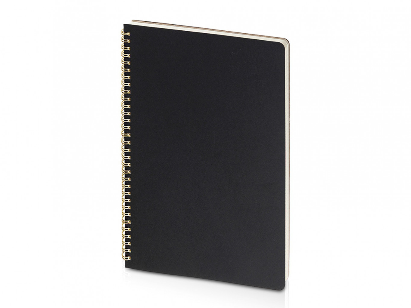 Бизнес-тетрадь А4 «Pragmatic» Бизнес-тетрадь А4 «Pragmatic»