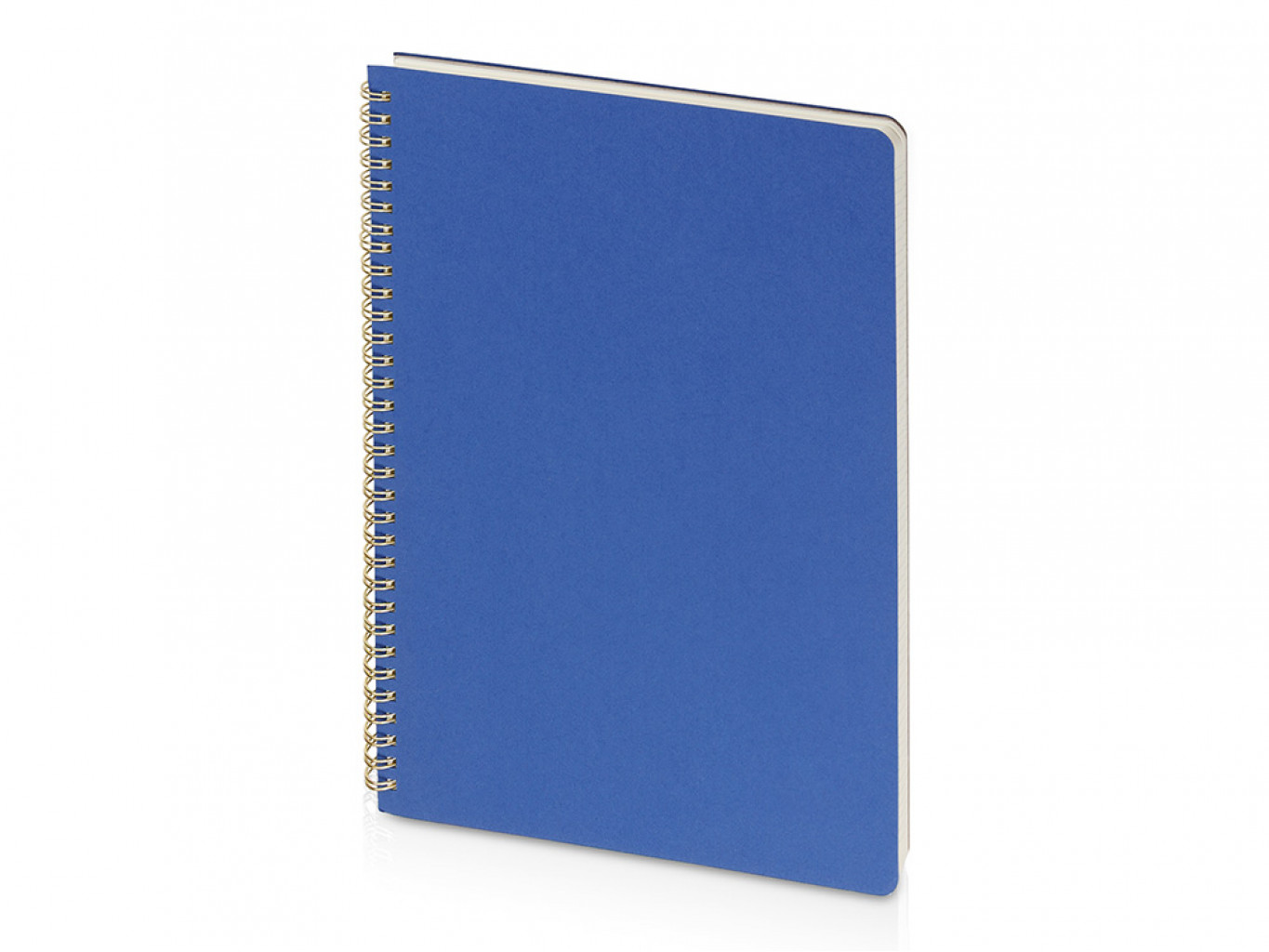 Бизнес-тетрадь А4 "Pragmatic" Бизнес-тетрадь А4 "Pragmatic"