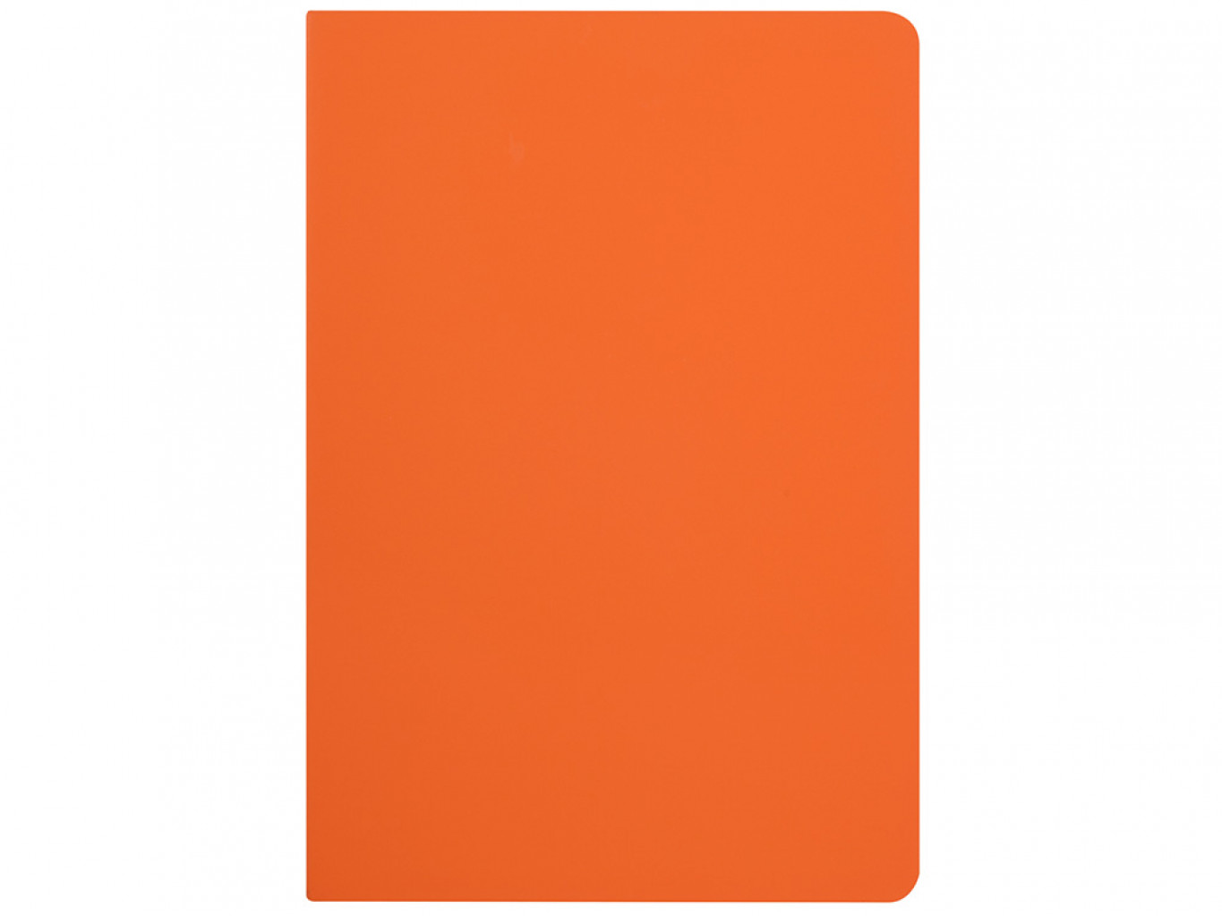 Бизнес-тетрадь А5 «Pragmatic Contrast»