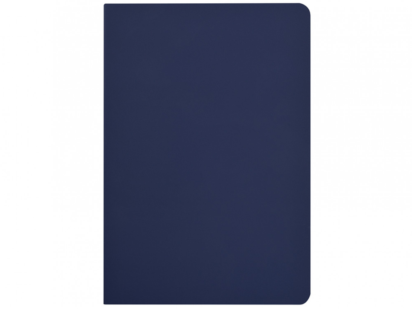 Бизнес-тетрадь А5 «Pragmatic Contrast»