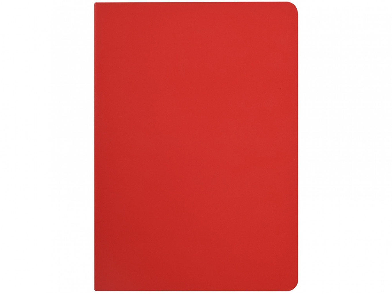 Бизнес-тетрадь А5 «Pragmatic Contrast»