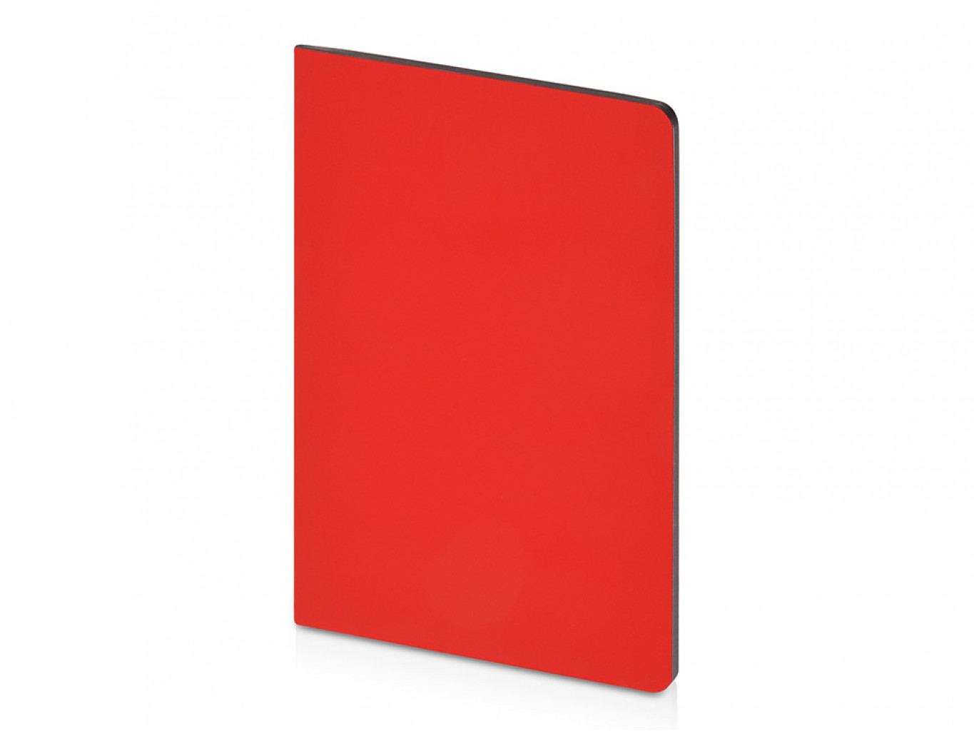 Бизнес-тетрадь А5 «Pragmatic Contrast»