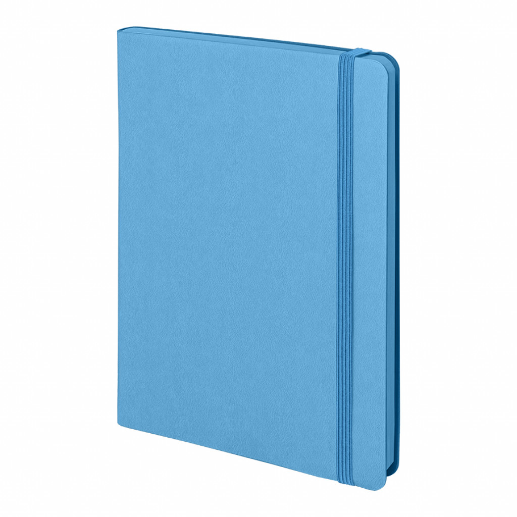 Бизнес-блокнот "RILY", формат А5, голубой, блок в точку