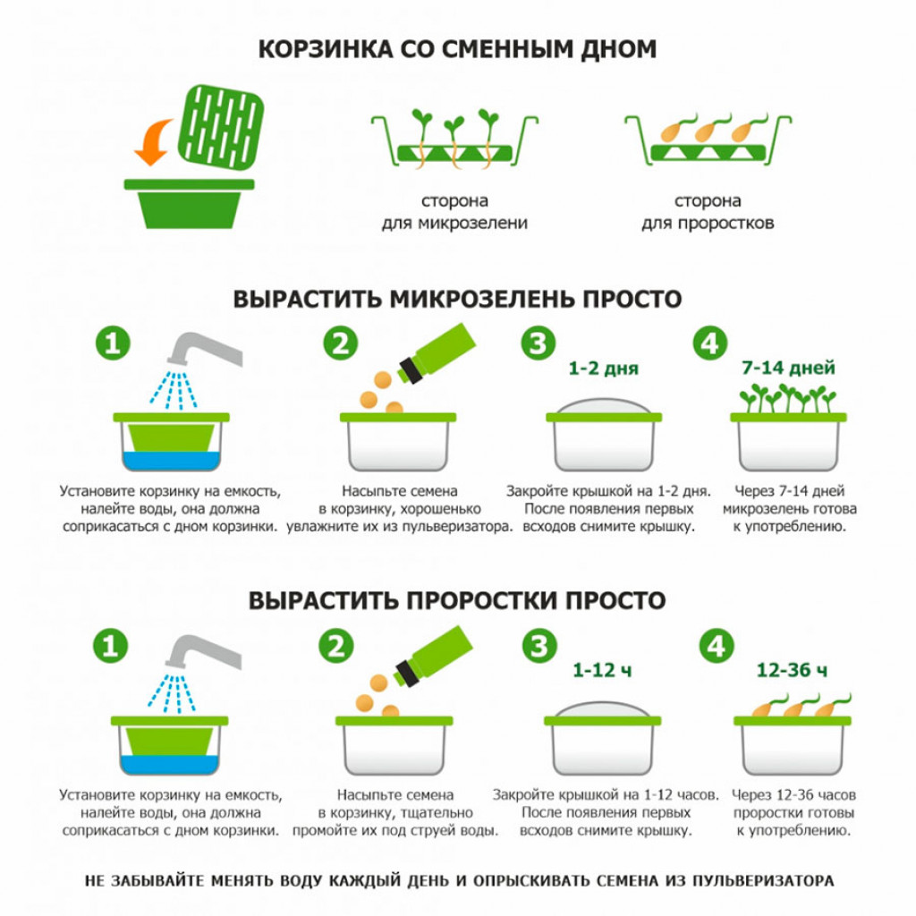 Подарочный набор для проращивания микрозелени: проращиватель, семена руколы