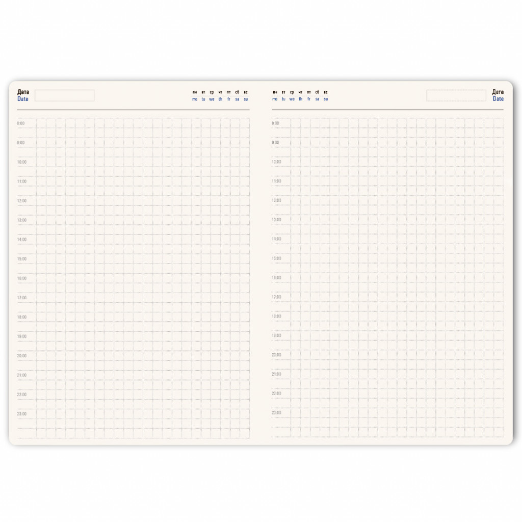 Ежедневник недатированный Ray, формат А5, в клетку
