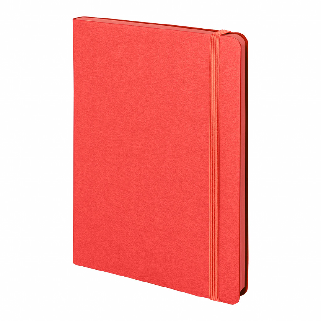 Бизнес-блокнот "RILY", формат А5, красный, блок в точку