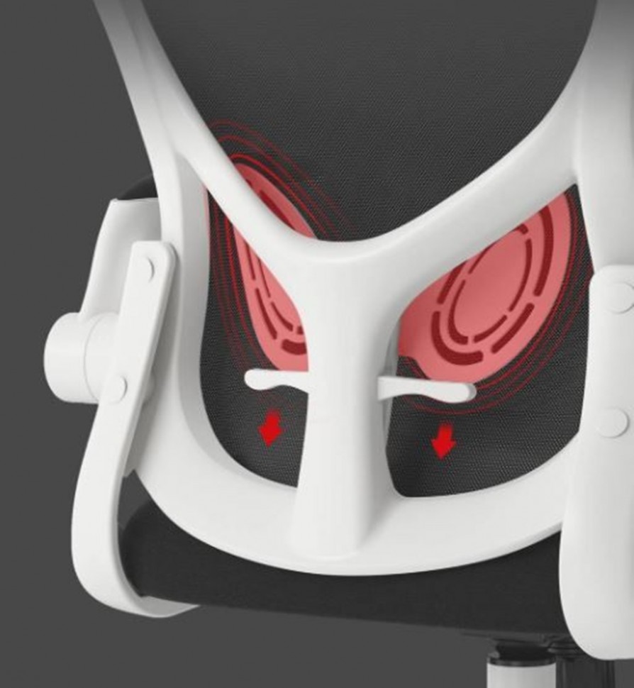 Кресло компьютерное Xiaomi HBADA Ergonomic Double Waist Chair (HDNY163WM)