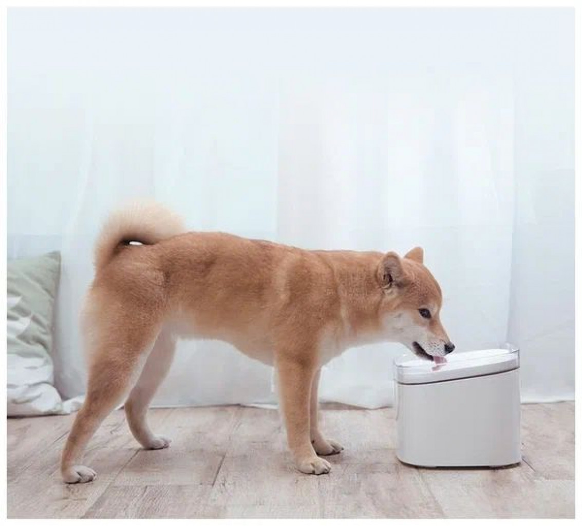 Автопоилка Xiaomi Mijia для кошек и собак Mijia Smart Pet Water Dispenser (XWWF01MG)