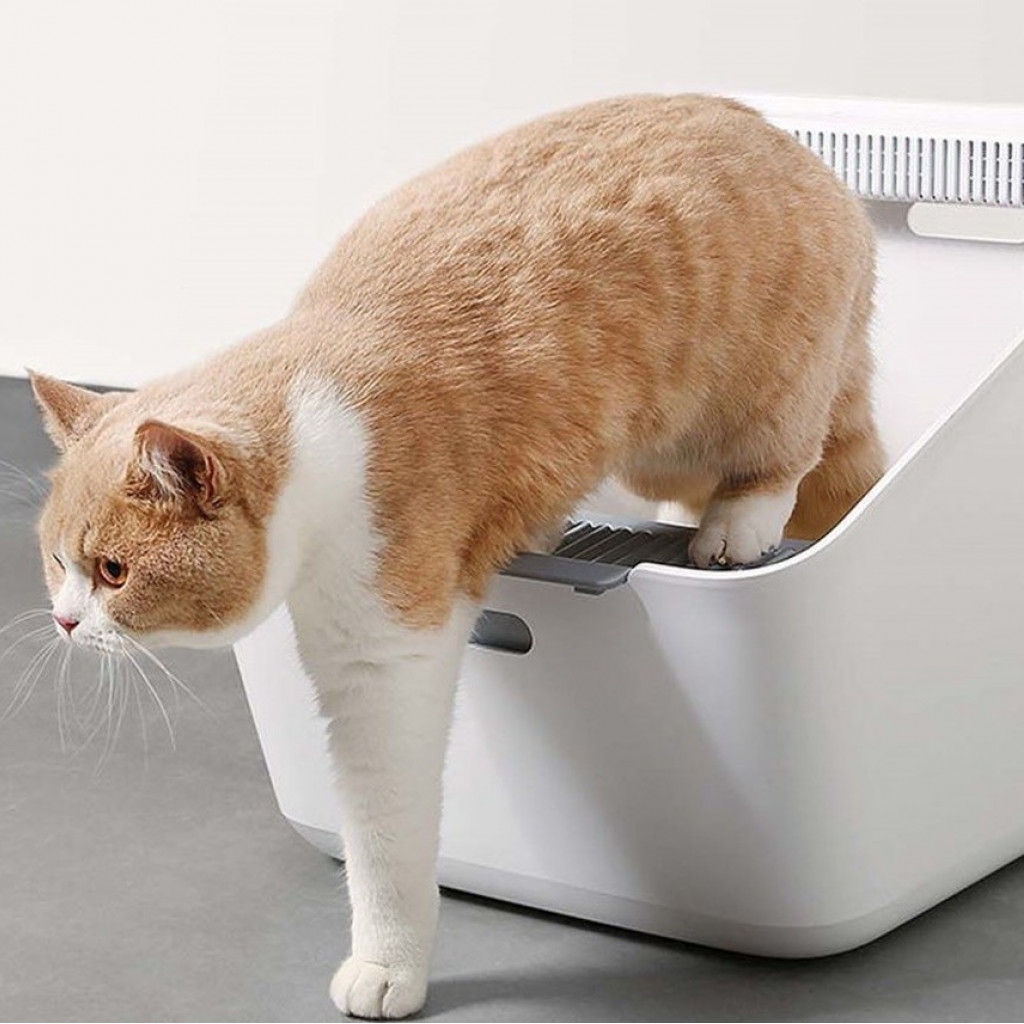 Лоток для кошек Xiaomi Petkit Inductive Net Taste Cat Toilet