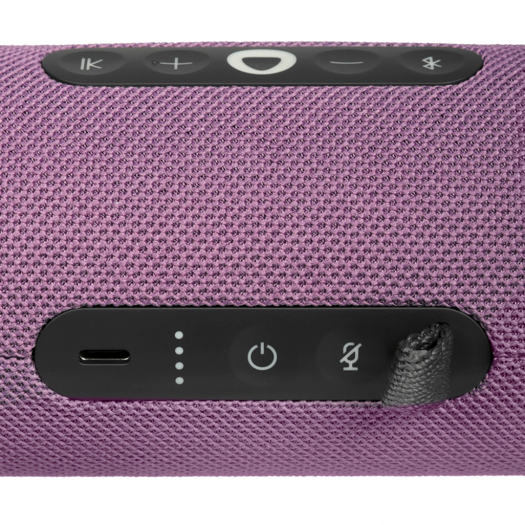 Умная портативная колонка Яндекс Станция Стрит (YNDX-00030VIO)