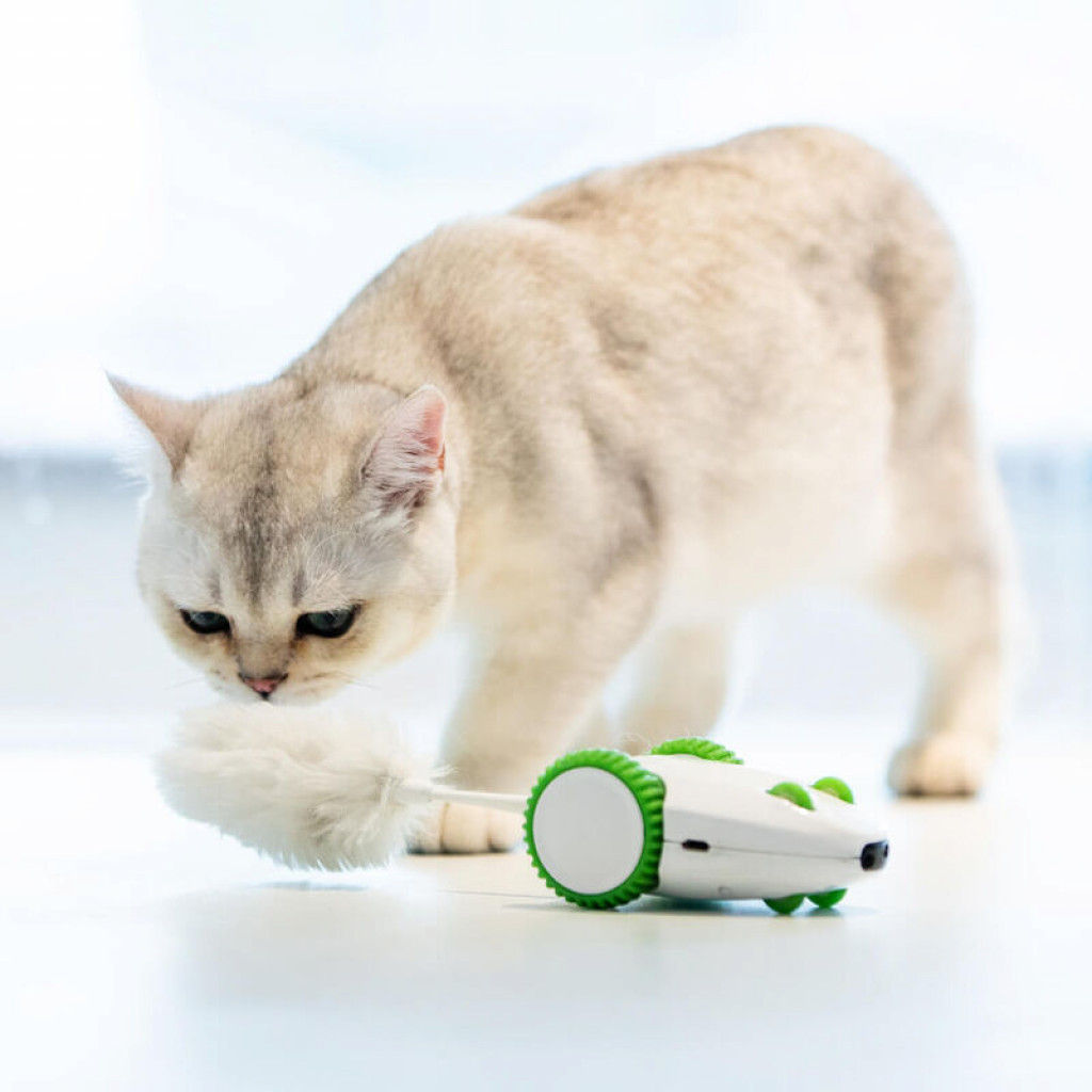 Игрушка для кошек Xiaomi Petgeek Crazy Mouse Toy Игрушка для кошек Xiaomi Petgeek Crazy Mouse Toy