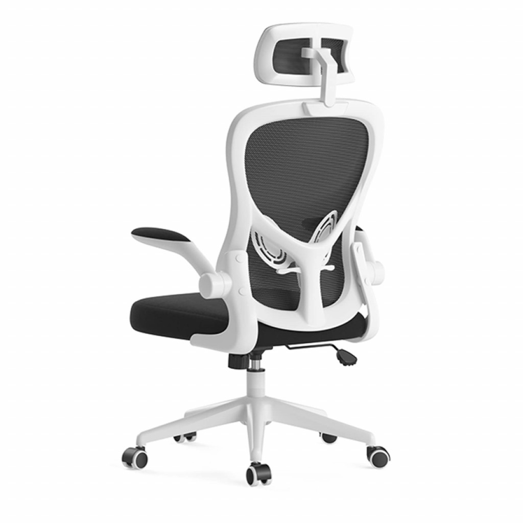 Кресло компьютерное HBADA Ergonomic Double Waist Chair (HDNY163WS) Кресло компьютерное HBADA Ergonomic Double Waist Chair (HDNY163WS)