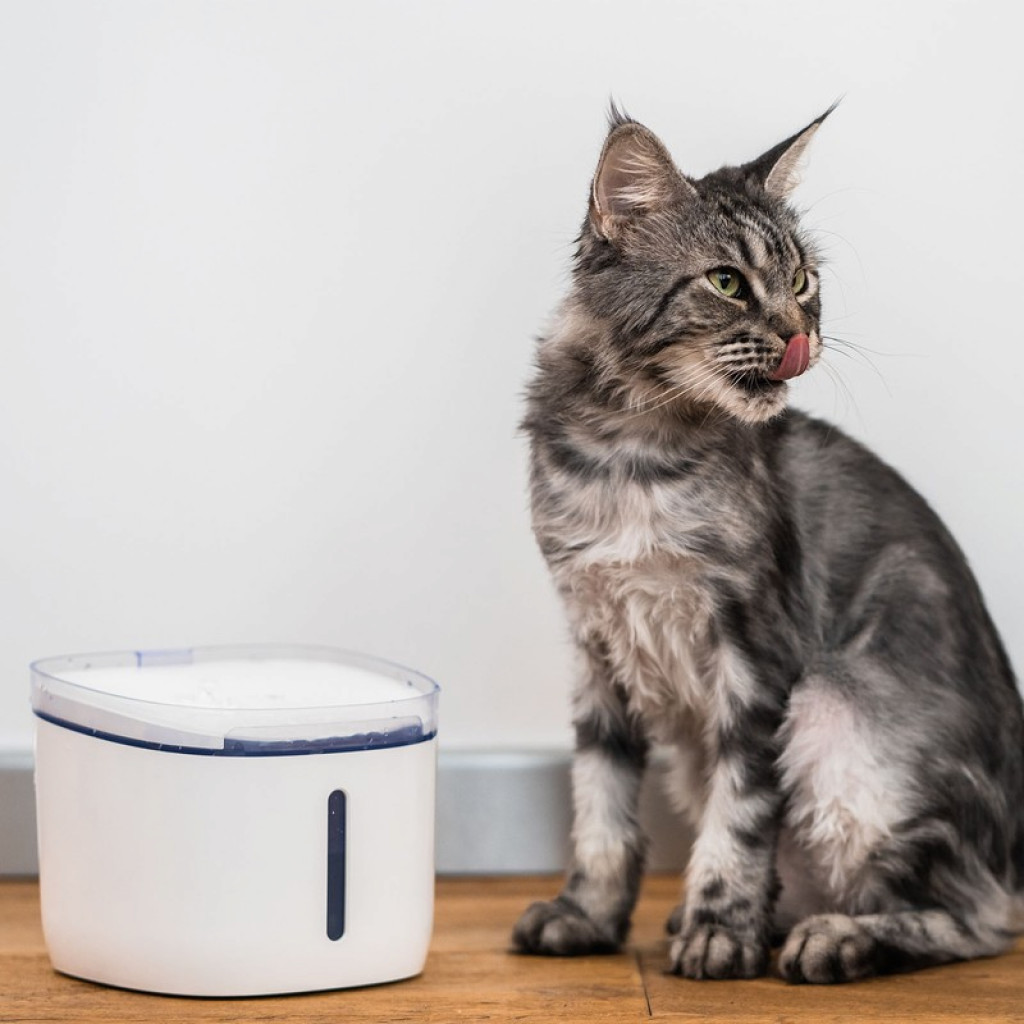 Поилка для животных Xiaomi Petoneer Smart Fresco Mini Plus Fountain (WF004) Поилка для животных Xiaomi Petoneer Smart Fresco Mini Plus Fountain (WF004)
