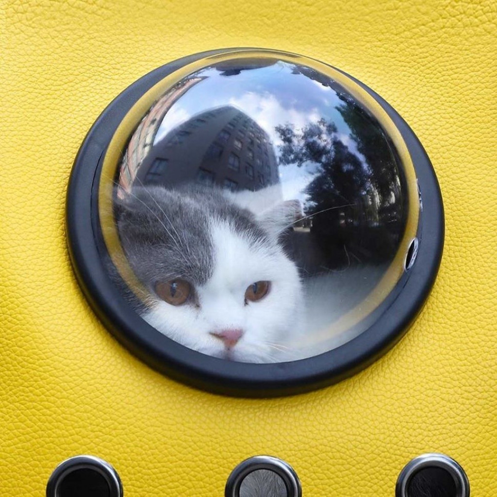 Рюкзак-переноска для животных Xiaomi Little Beast Star Pet Bag (XN11-5001) Рюкзак-переноска для животных Xiaomi Little Beast Star Pet Bag (XN11-5001)