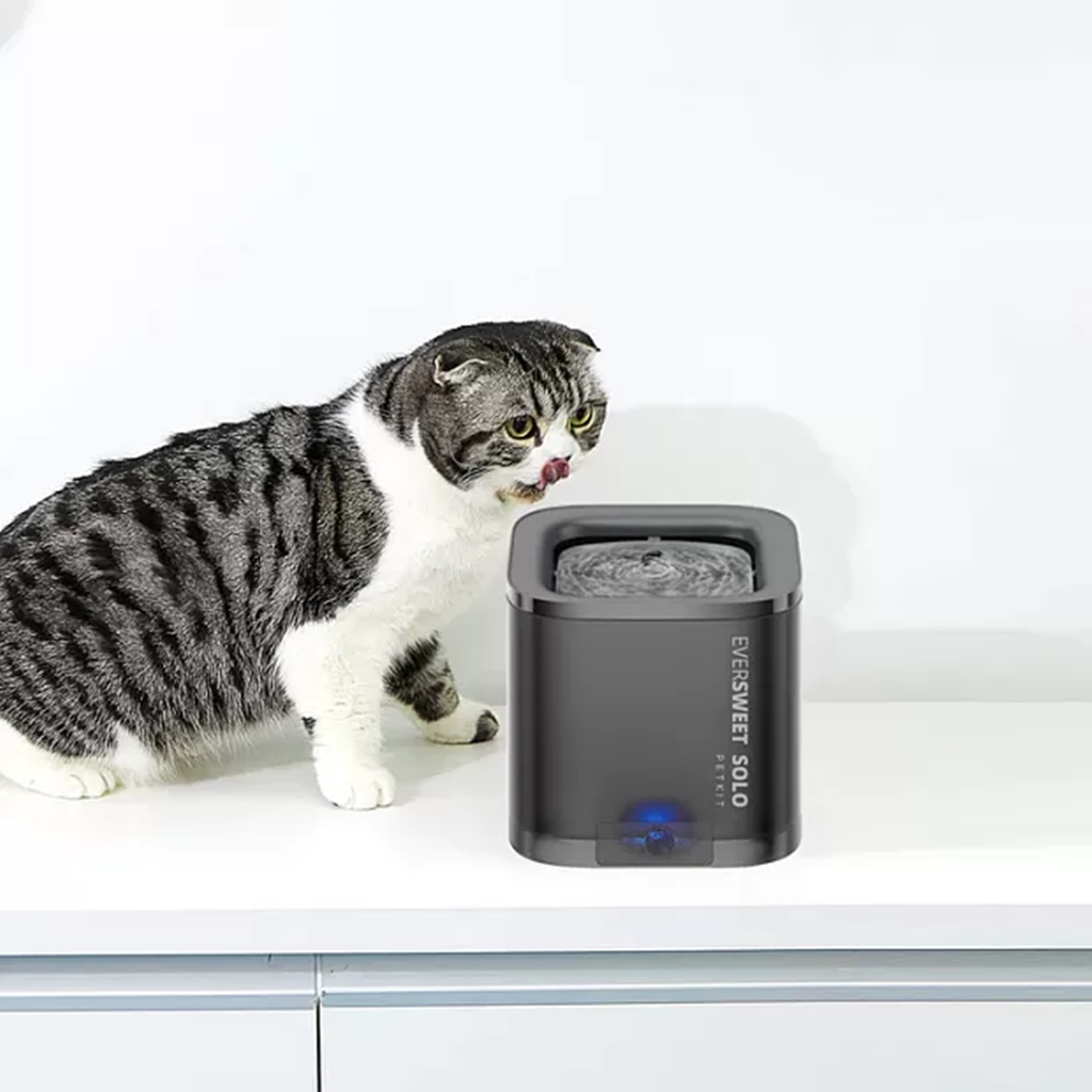 Питьевой фонтан для животных 1.85 л c системой фильтрации Xiaomi Petkit Eversweet Solo (P4103) Питьевой фонтан для животных 1.85 л c системой фильтрации Xiaomi Petkit Eversweet Solo (P4103)