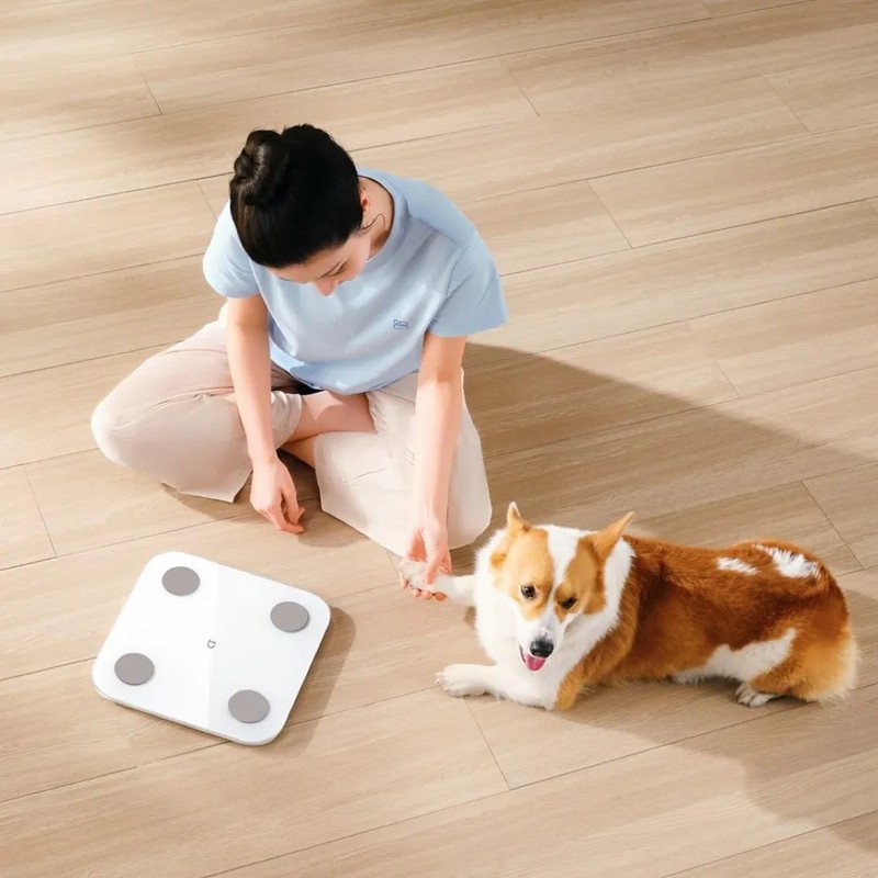 Умные весы Xiaomi Mijia Body Fat Scale S400 (MJTZC01YM) Умные весы Xiaomi Mijia Body Fat Scale S400 (MJTZC01YM)