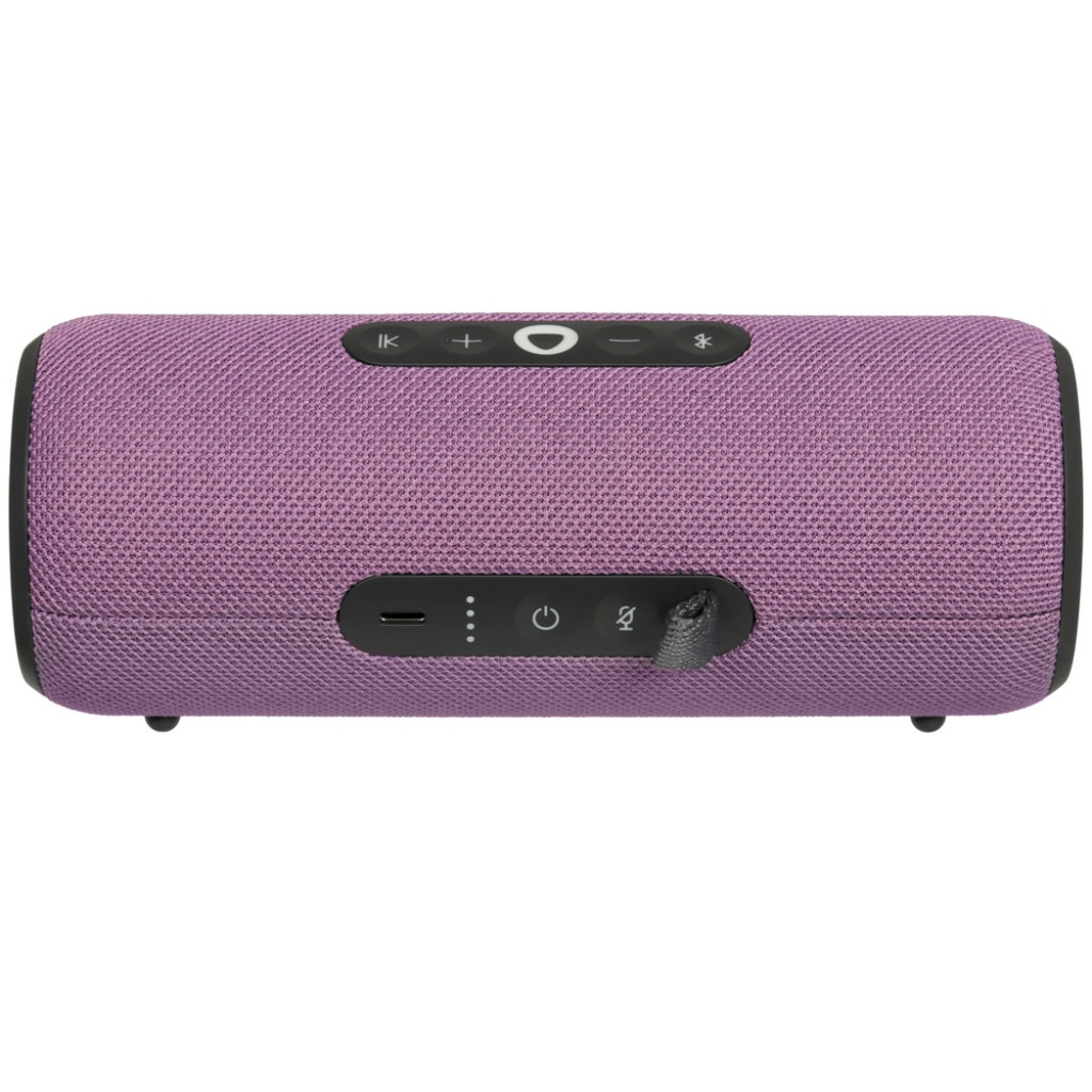 Умная портативная колонка Яндекс Станция Стрит (YNDX-00030VIO)