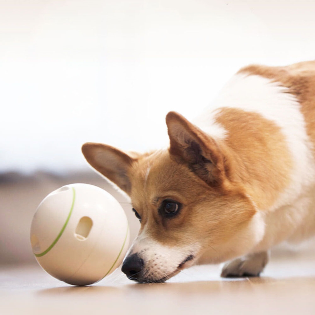 Интерактивная игрушка Xiaomi Petgeek Automatic Ball Pet Toys Rolling