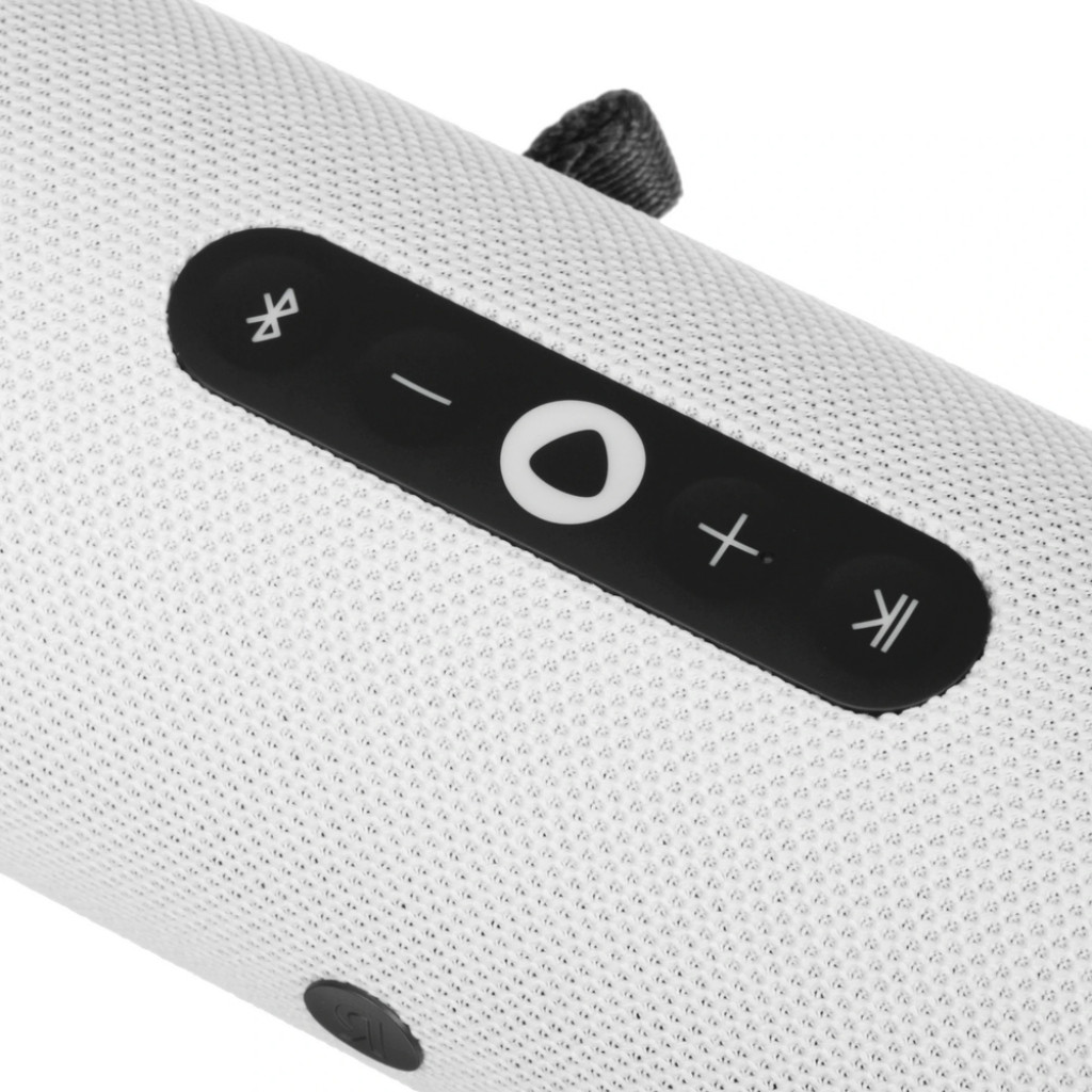 Умная портативная колонка Яндекс Станция Стрит (YNDX-00030GRY)