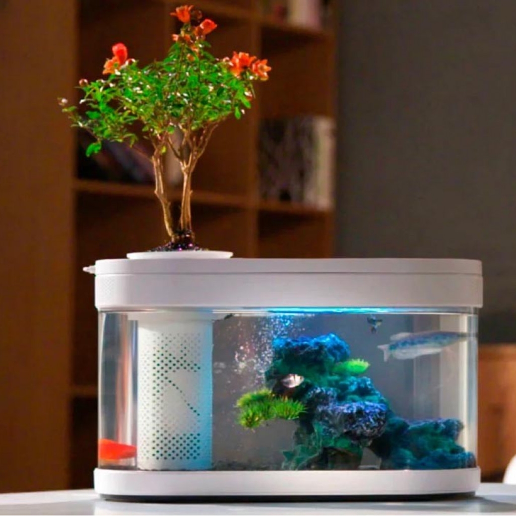 Акваферма Xiaomi Lucky Amphibious Geometry Fish Tank Aquaponics Ecosystem