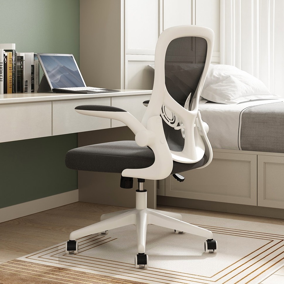 Кресло компьютерное Xiaomi HBADA Ergonomic Double Waist Chair (HDNY163WM)