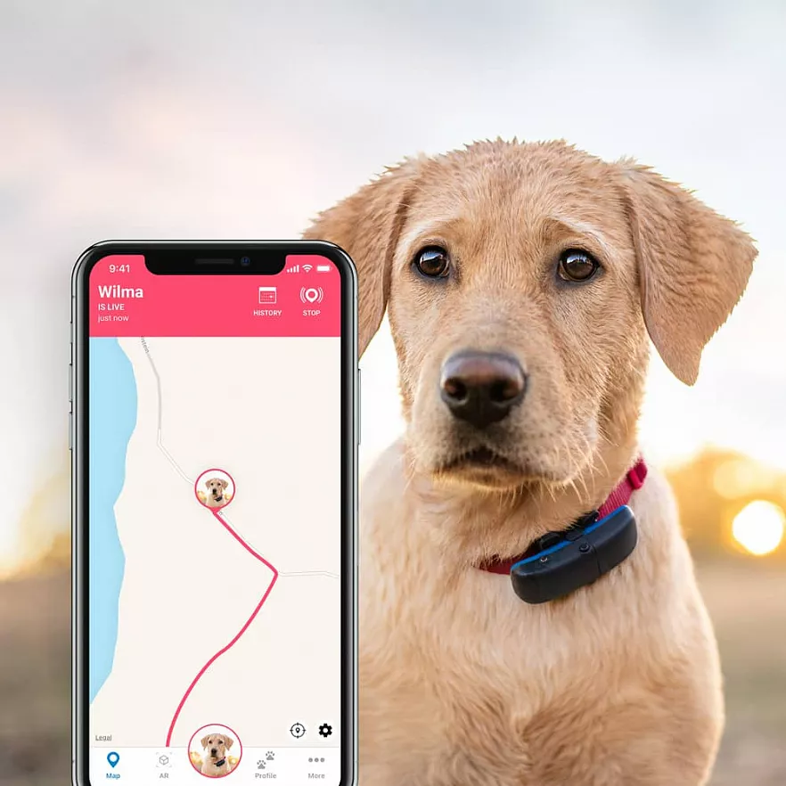 GPS-трекер для собак Tractive GPS DOG Tracker (TRDOG1)