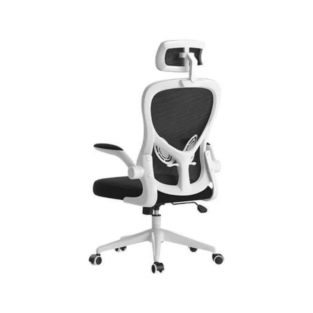 Кресло компьютерное Xiaomi HBADA Ergonomic Double Waist Chair (HDNY163WG) Кресло компьютерное Xiaomi HBADA Ergonomic Double Waist Chair (HDNY163WG)