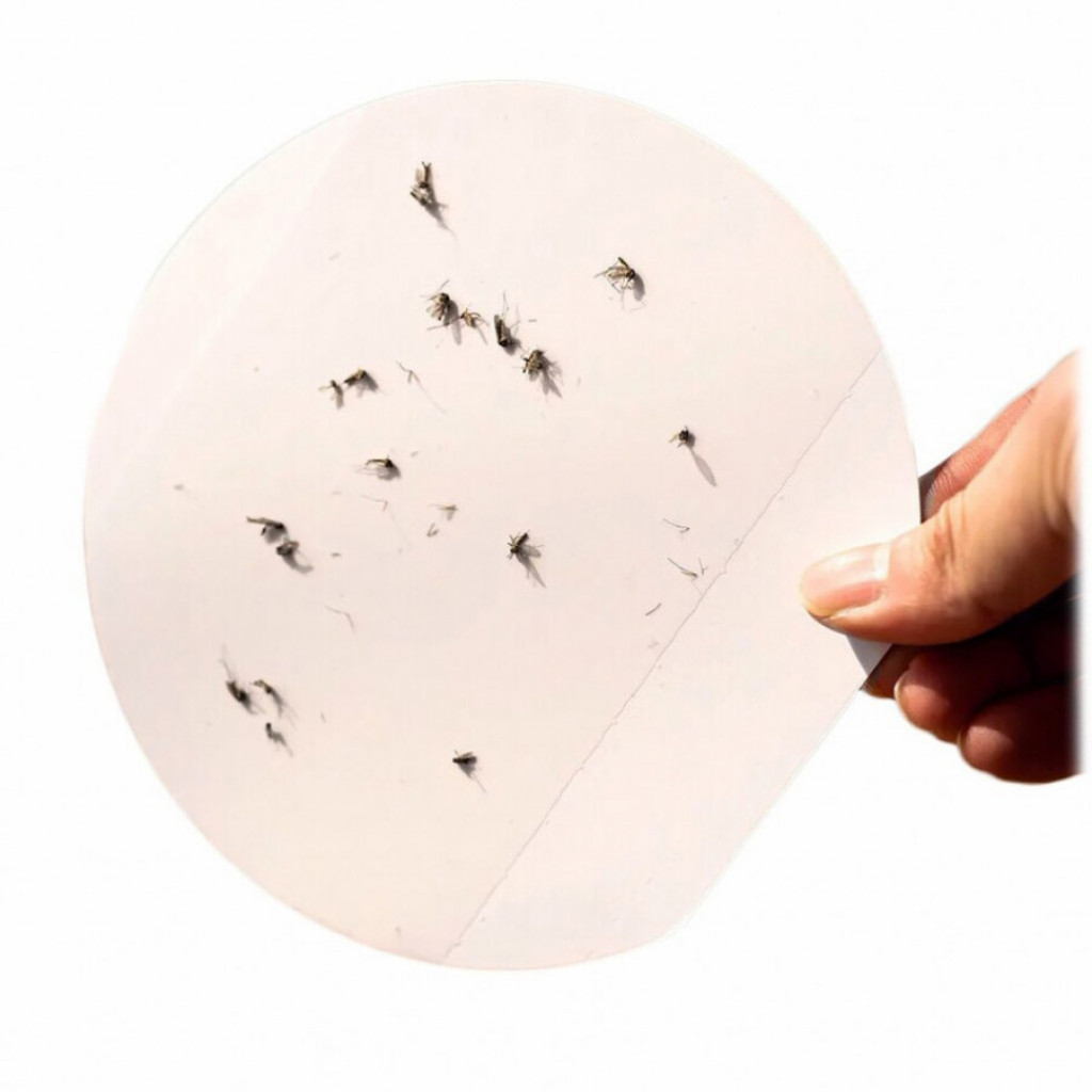 Фумигатор Xiaomi Bcase Square Sticky Trap Mosquito Killer (DSHJ-S-2006) Фумигатор Xiaomi Bcase Square Sticky Trap Mosquito Killer (DSHJ-S-2006)