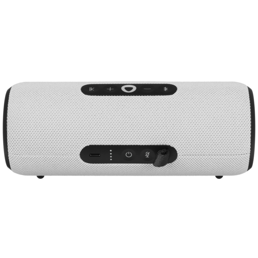 Умная портативная колонка Яндекс Станция Стрит (YNDX-00030GRY)