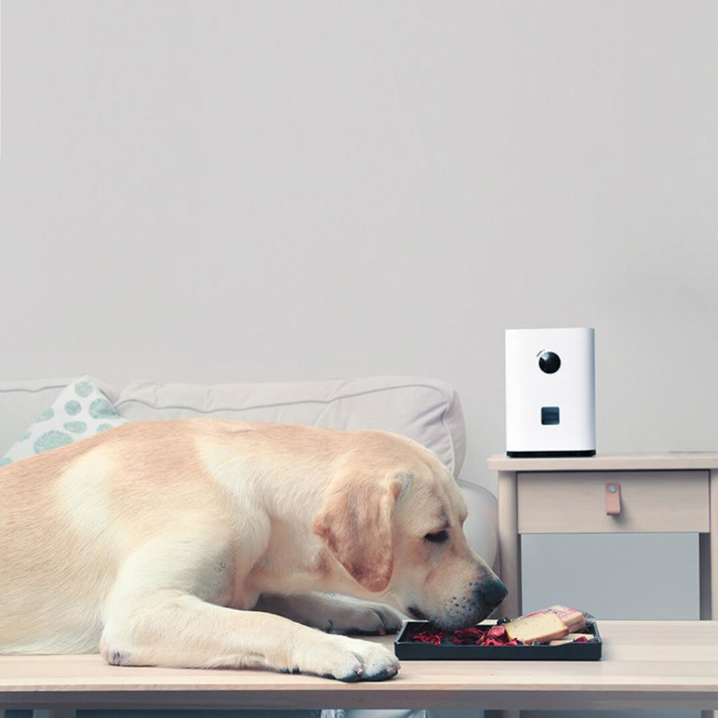 Умная автокормушка для домашних Xiaomi Pawbby Treat Cam Camera Smart Pet Feeder CCTV (MG-PSM001)