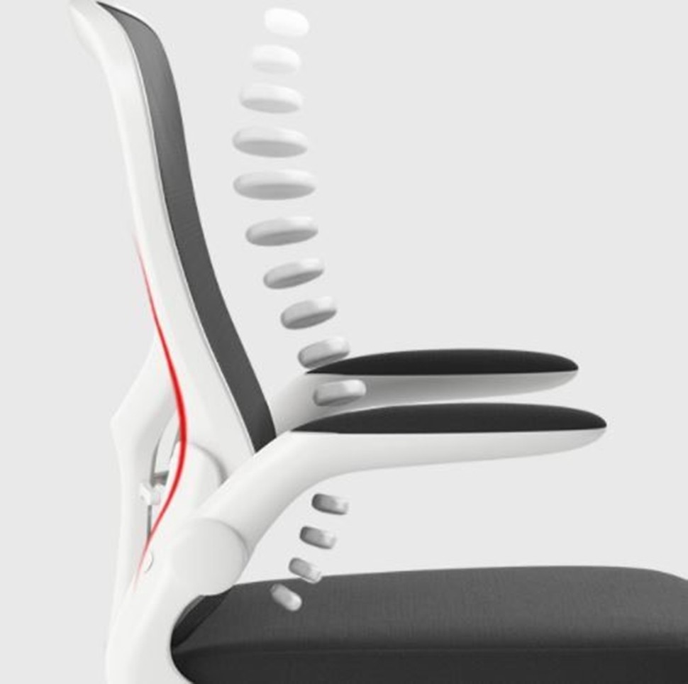 Кресло компьютерное Xiaomi HBADA Ergonomic Double Waist Chair (HDNY163WM)