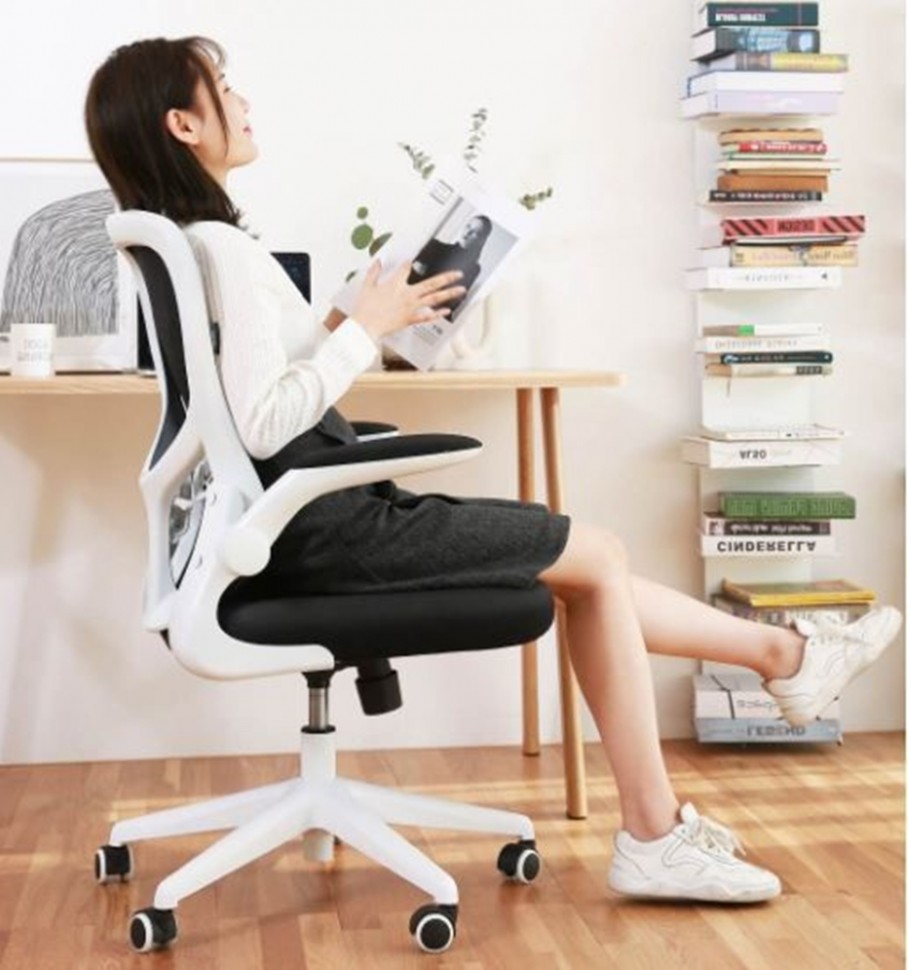Кресло компьютерное Xiaomi HBADA Ergonomic Double Waist Chair (HDNY163WM)