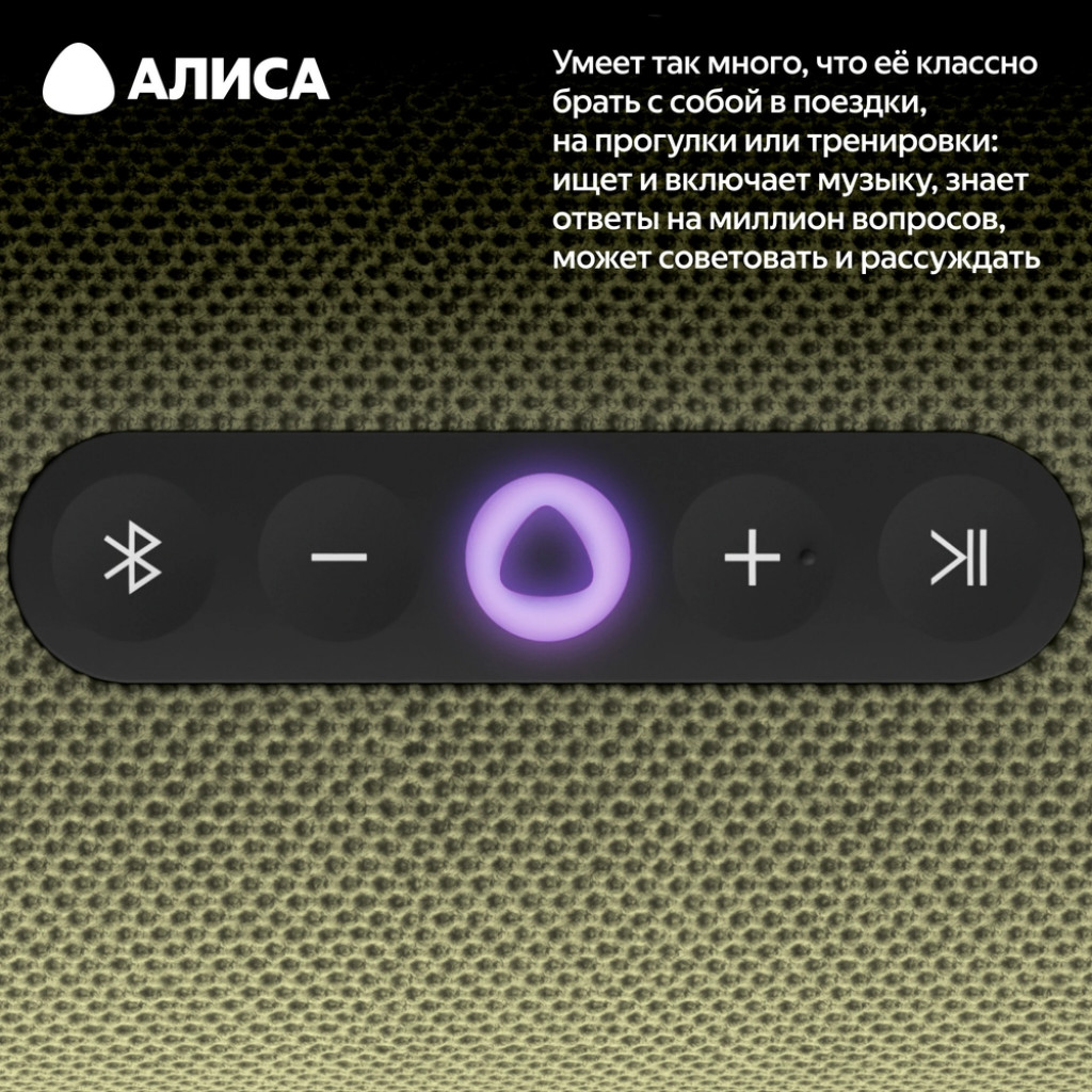 Умная портативная колонка Яндекс Станция Стрит (YNDX-00030GRN)