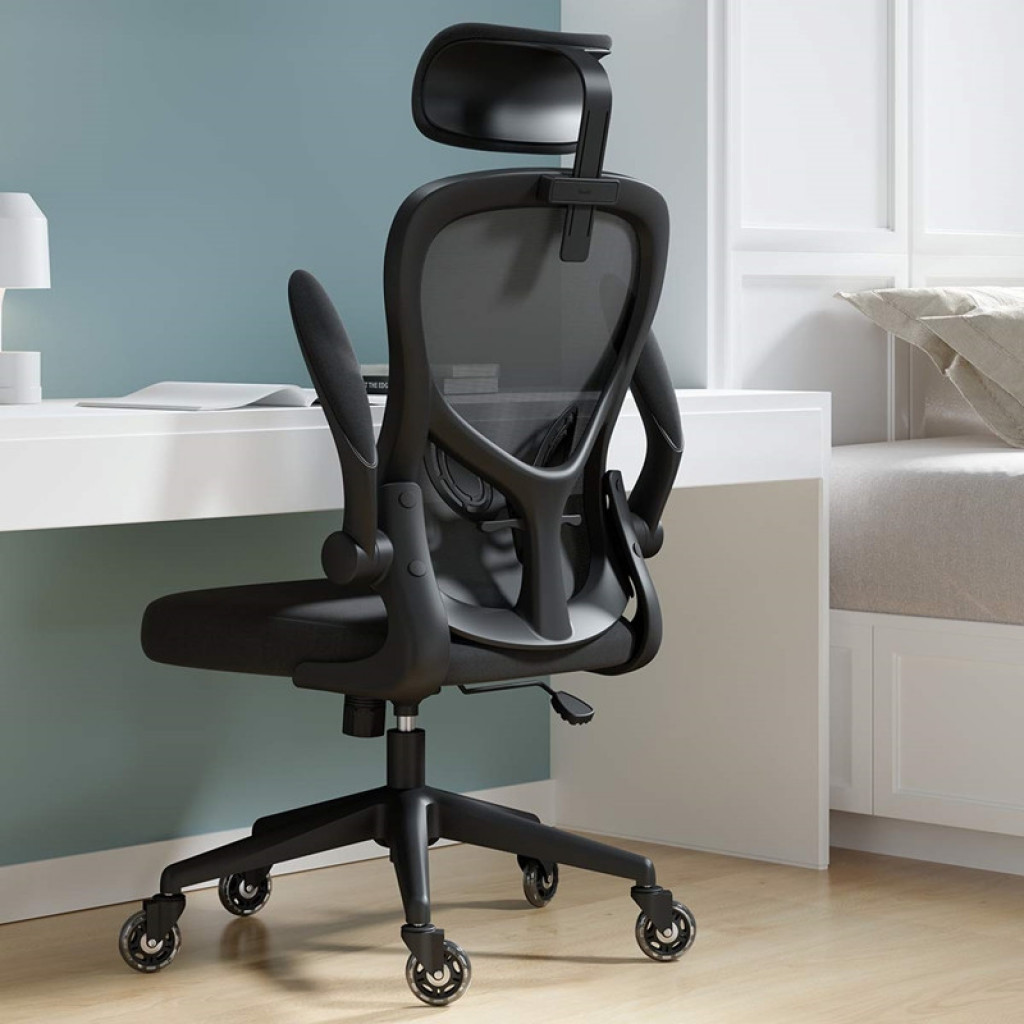 Кресло компьютерное HBADA Ergonomic Double Waist Chair (HDNY163WS) Кресло компьютерное HBADA Ergonomic Double Waist Chair (HDNY163WS)